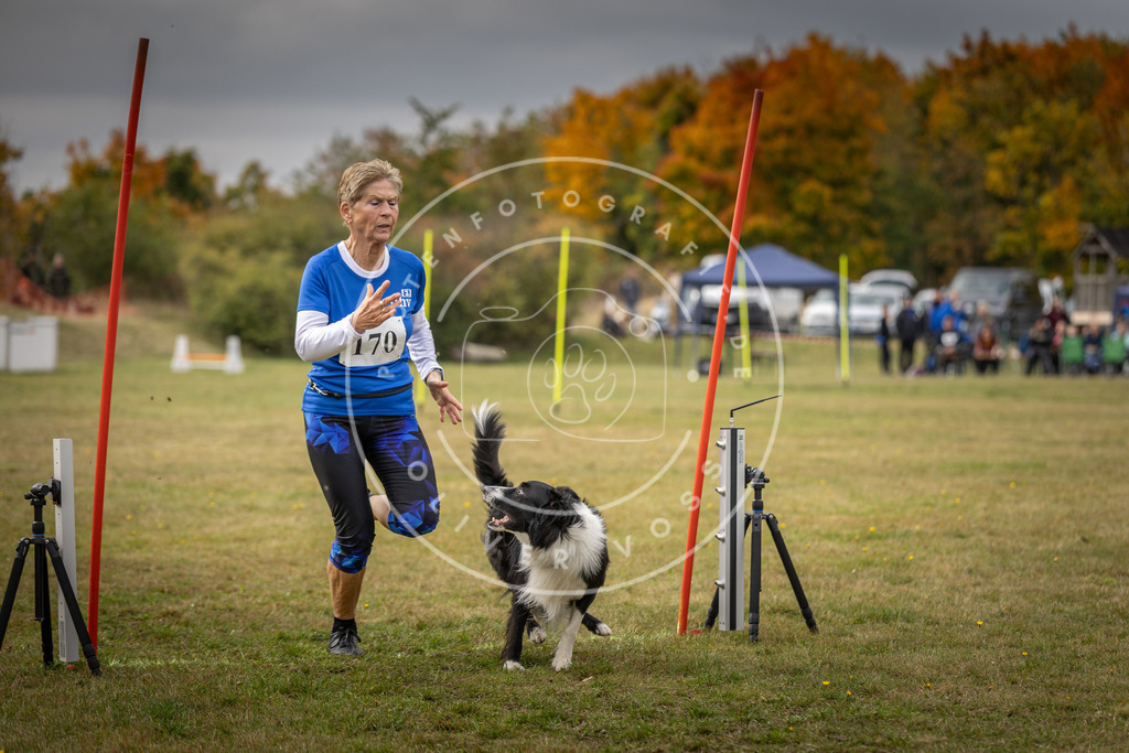 Pfotenfotografie_DV3A5876 | Hundefotografie, Tierfotograf, Pfotenfotografie, Fotoshooting Hund, Hunde Portrait, Hundesport, Hundeportraits, Heideshooting, Hunde, Sportfotograf, Hundefotograf, Turnierhundsport, THS,  - Realisiert mit Pictrs.com
