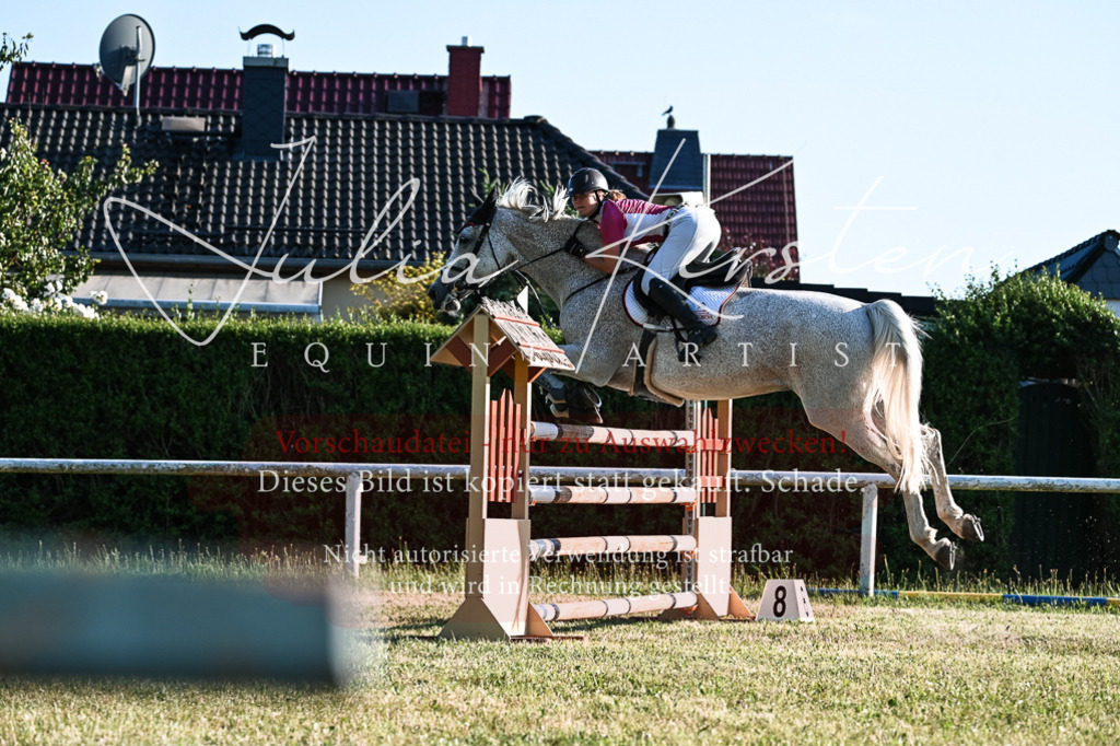 DSC_3138 | Pferde- und Turnierfotografie in Westsachsen. Pferdeportraits, Auftragszeichnungen und intuitive Kunst.
