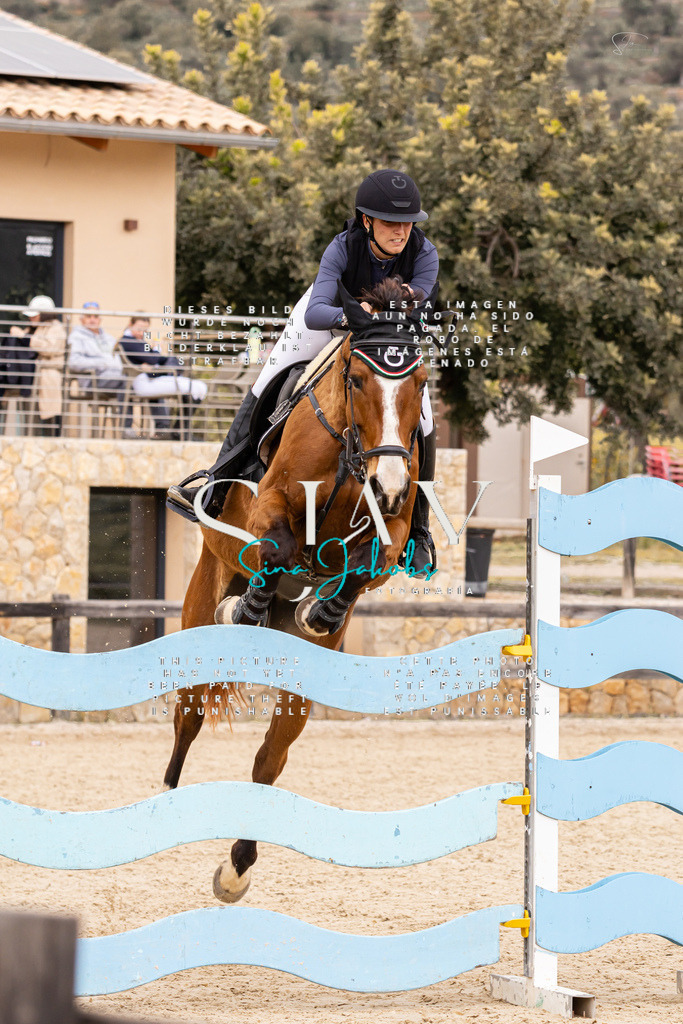 IMG_5249 | s-jay-photography - Realisiert mit Pictrs.com