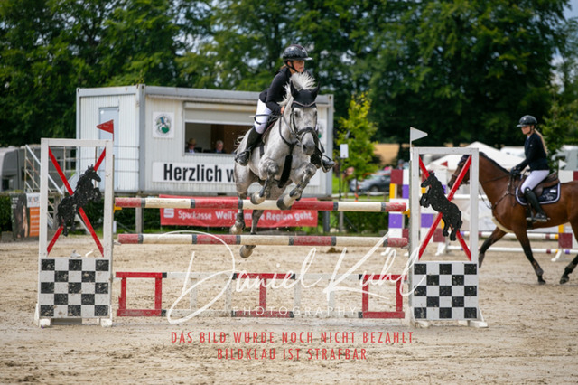 IMG_5684 | Turniersportfotografie; Pferdefotografie; Dressurfotografie
