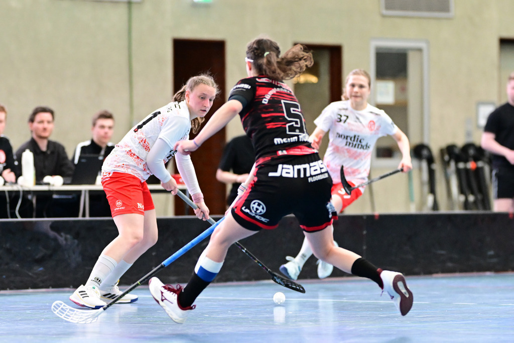 Floorball I Frauen I Saison 2023-2024 I 1. Frauen Floorball-Bundesliga I Playoffs 3. Spieltag I ETV Lady Piranhhas Hamburg - Dümptener Füchse | Der Sportfotograf. - Realisiert mit Pictrs.com