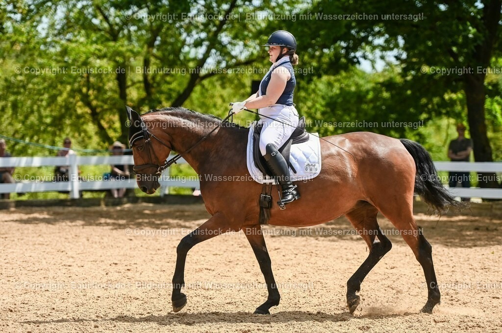 20230715_05_Dressurprüfung Kl.A++_0424 | equistock
