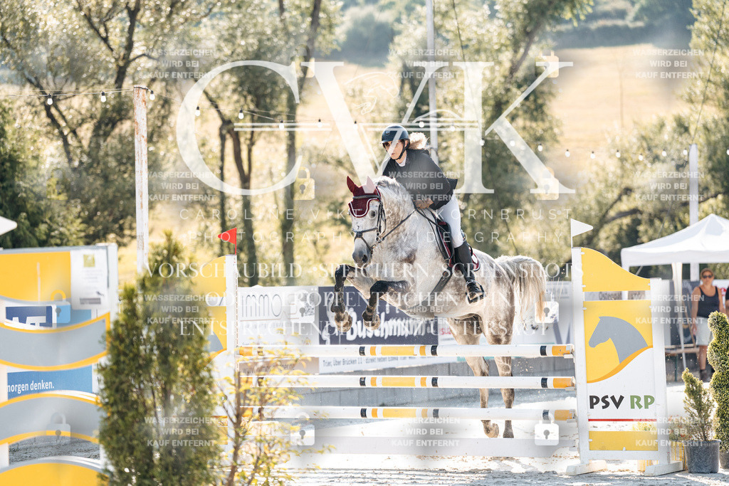 CK907491 | Turnierfotografie Pferdefotografie Trier Rheinland-Pfalz Pferdesport Reitsport Tierfotografie Sportfotografie Pferdevideo Pferdevideografie Equestrianvideography equestrianphotography  - Realisiert mit Pictrs.com
