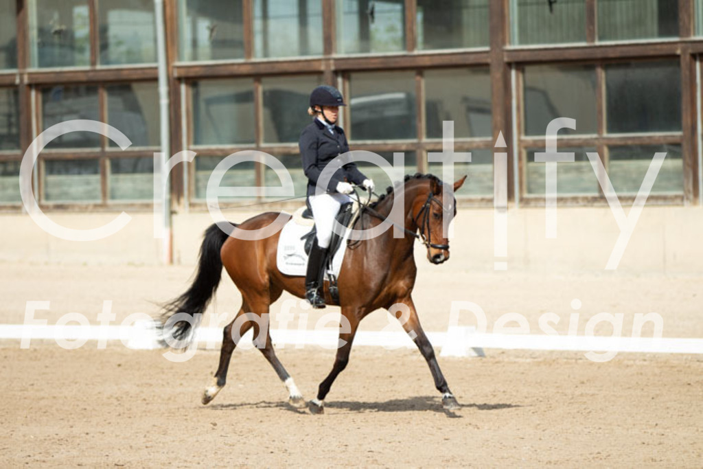 IMG_1211 | Creatify Fotografie