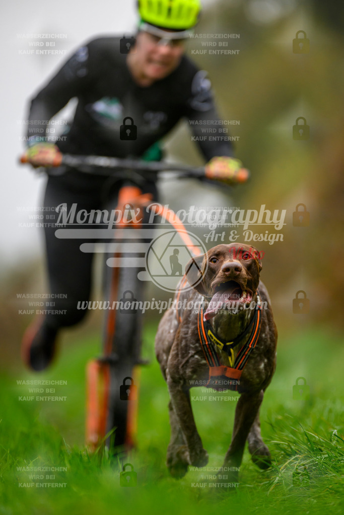 MompixPhotography_20TSB_E8_DS1-25 | PayLife