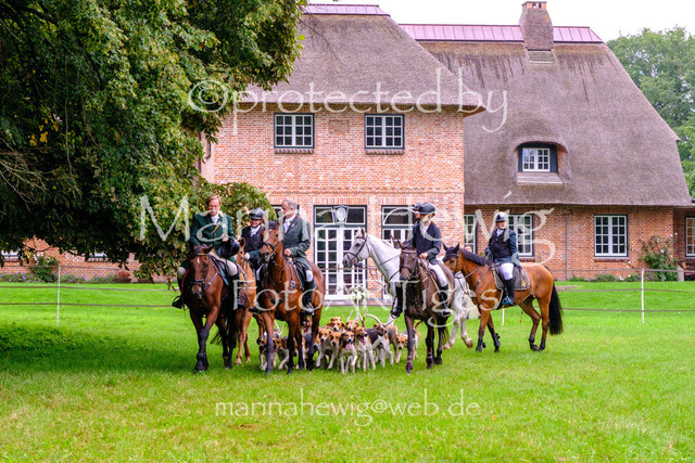 Jagd Perdoel 26 Fuji-9660_MarinaHewig | Fotografie, FotoArt, PferdesportArt, Pferdesportfotografie, Landschaftsfotografie, Reisefotografie, Reise, Pferde - Realisiert mit Pictrs.com
