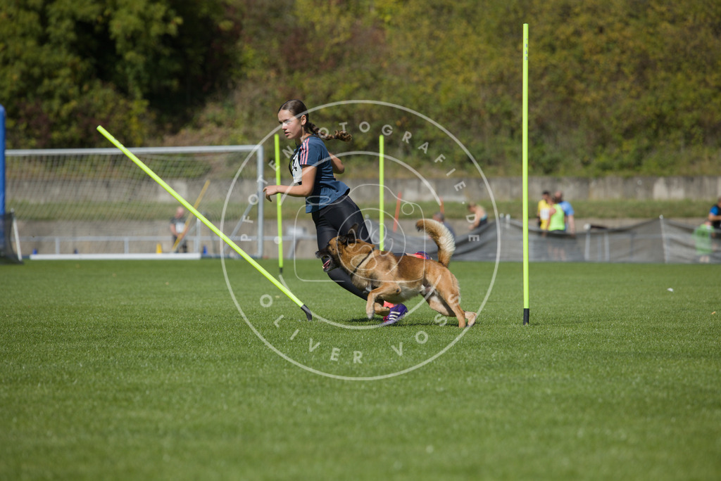 0L8A6094 | Hundefotografie, Tierfotograf, Pfotenfotografie, Fotoshooting Hund, Hunde Portrait, Hundesport, Hundeportraits, Heideshooting, Hunde, Sportfotograf, Hundefotograf, Turnierhundsport, THS,  - Realisiert mit Pictrs.com