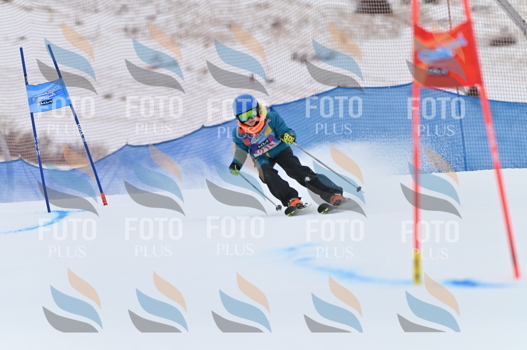 BGV_2395 | holidayphoto