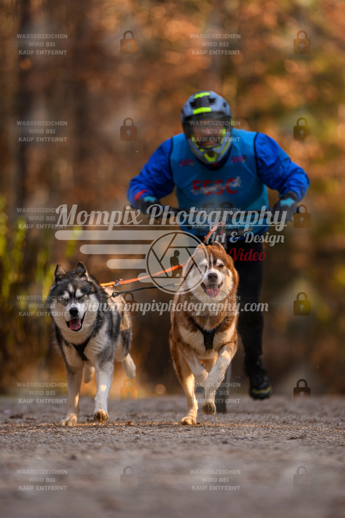 MompixPhotography_DM_AKDM_SO_2025_Scooter-67 | PayLife