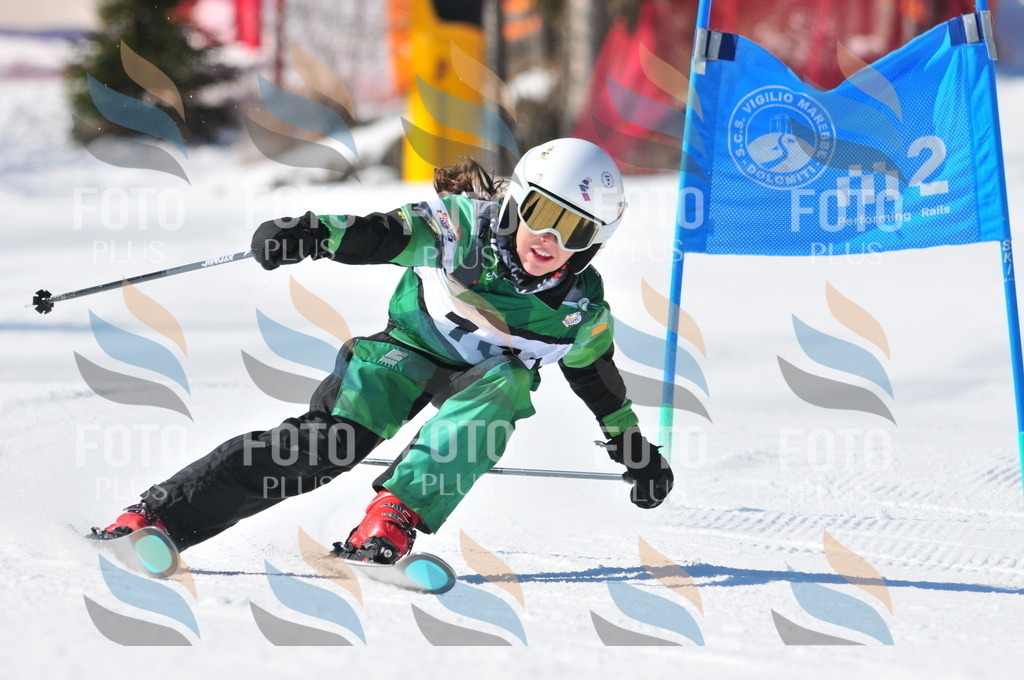 C3274 | holidayphoto