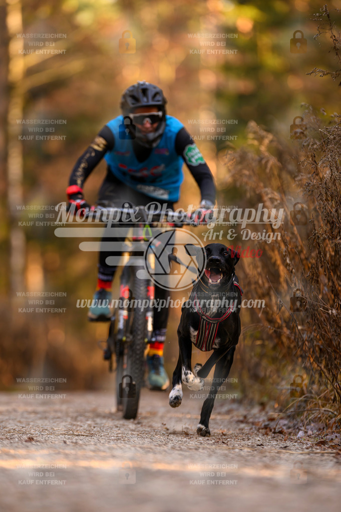 MompixPhotography_DM_AKDM_SO_2025_Bike-59 | PayLife