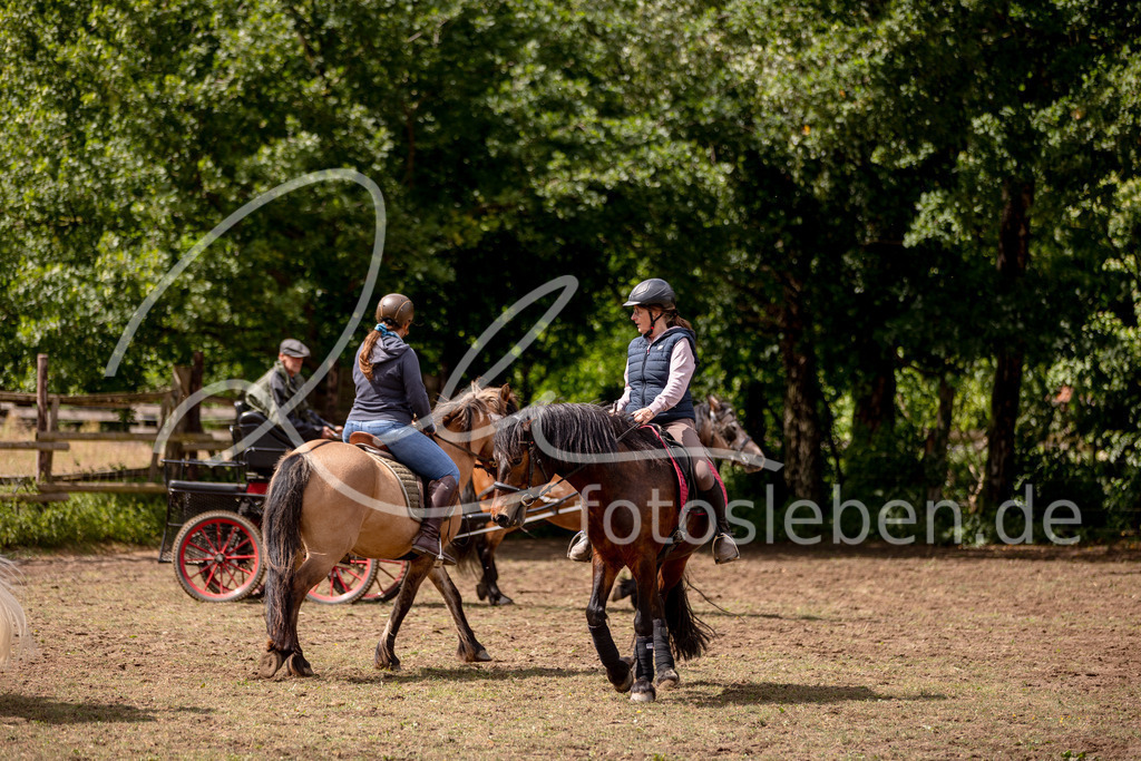 846A0801 | fotosleben - Realisiert mit Pictrs.com