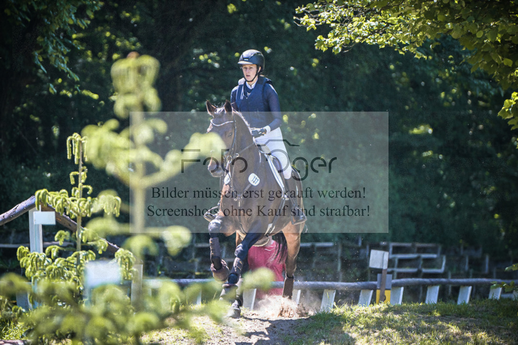 DOS_2682 | Entdecke hochwertige Reitturnierfotos von Foto Oger. Professionell, emotional und authentisch – jetzt Lieblingsmomente im Shop bestellen.Deutschlandweite Turnierfotografie. - Realisiert mit Pictrs.com