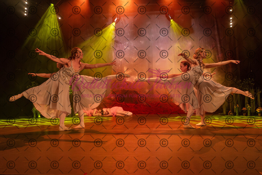Ballettaufführung-1083 | Bildershop Lem'n Entertainment - Realisiert mit Pictrs.com