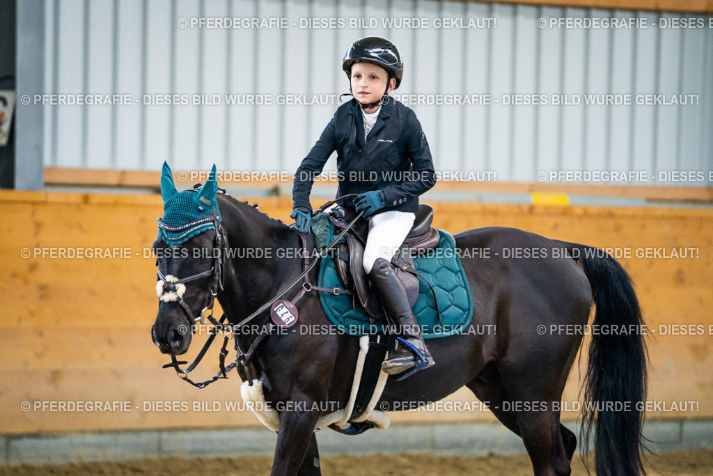 DSC01011 | Pferdegrafie