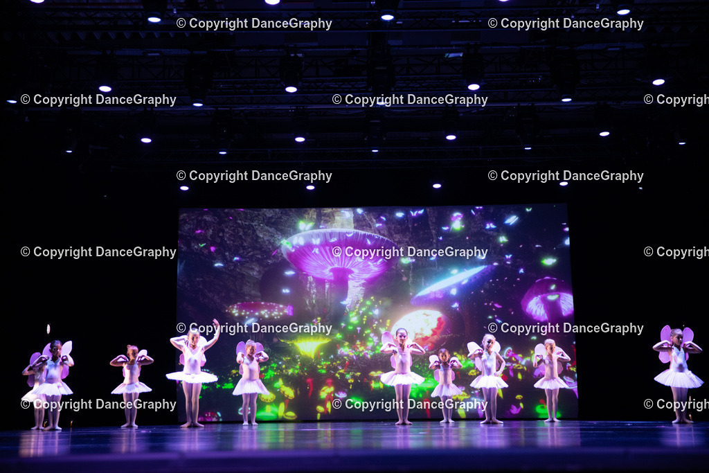 GPHY4745 | DanceGraphy - Realisiert mit Pictrs.com