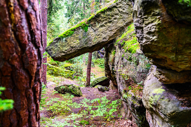 DSC_2852-10 | Shop für Prints Landschaftsfotografie Sächsische Schweiz Naturfotografie in Thüringen Fotos vom Findlingspark Nochten Kloster Sankt Marienstern Bilder Festung Königstein PanoramaRhododendronpark Kromlau FotogalerSchleswig-Holstein Küstenlandschaften
