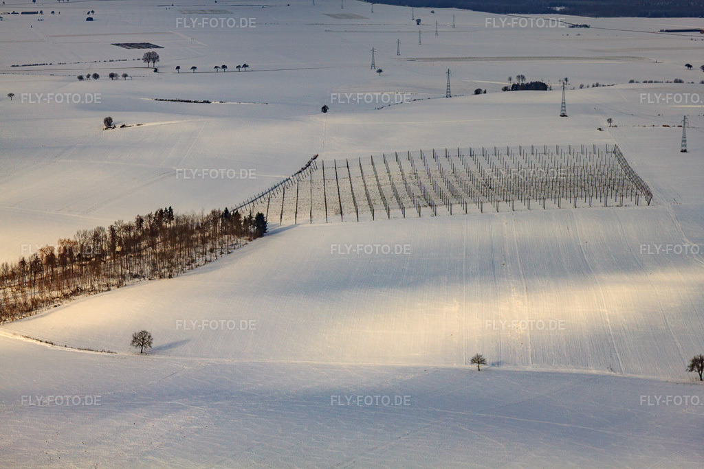 Luftbild: Feld mit Hopfenanbaugerüsten Im Winter bei Schnee in Siegen im Bundesland Bas-Rhin in Frankreich. – Foto: IMG_36237.jpg vom 02.01.2011 durch Werner Riehm/FLY-FOTO.de – Auflösung des Originals: 4752 x 3168 px