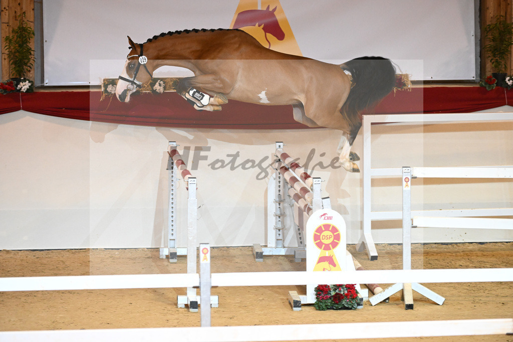 Kat-Nr. 29 Nixon v h Meulenhof_1231034 | hf-fotografie - Realisiert mit Pictrs.com
