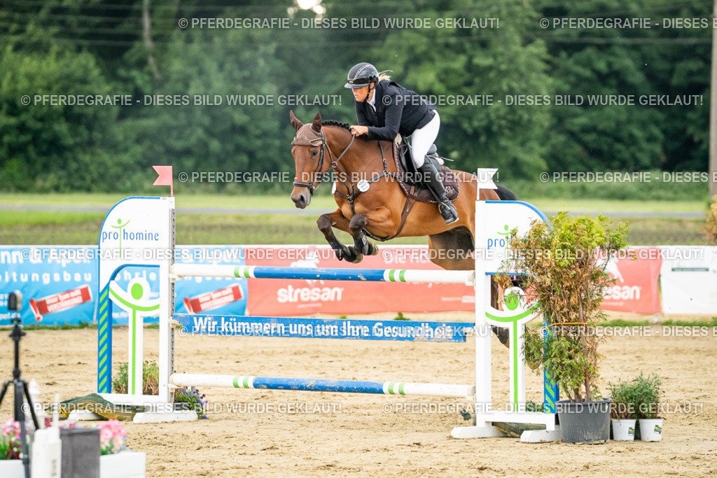 DSC07038 | Pferdegrafie