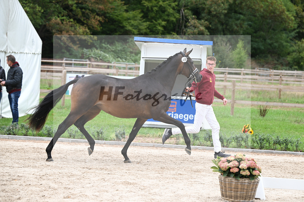 Kat-Nr. 19 Noblesse Oblige_Societe Hippique et dElevage S.A._49221316 | hf-fotografie - Realisiert mit Pictrs.com
