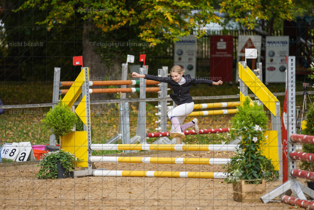 20221009-FAH08585 | Diessen am Ammersee, 2022, Dressur- und Springturnier, Reitsportbilder, Turnierfotografen Bayern, Pferdefotografen, Fotoagentur Herrmann, Turnierbilder
