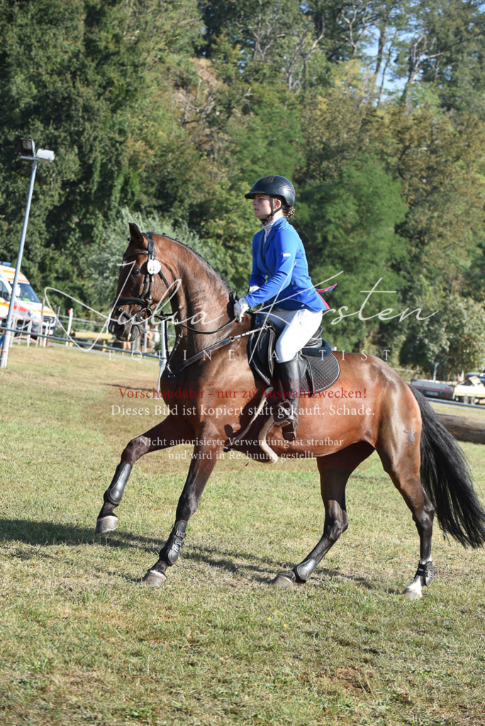DSC_5315 | Pferde- und Turnierfotografie in Westsachsen. Pferdeportraits, Auftragszeichnungen und intuitive Kunst.