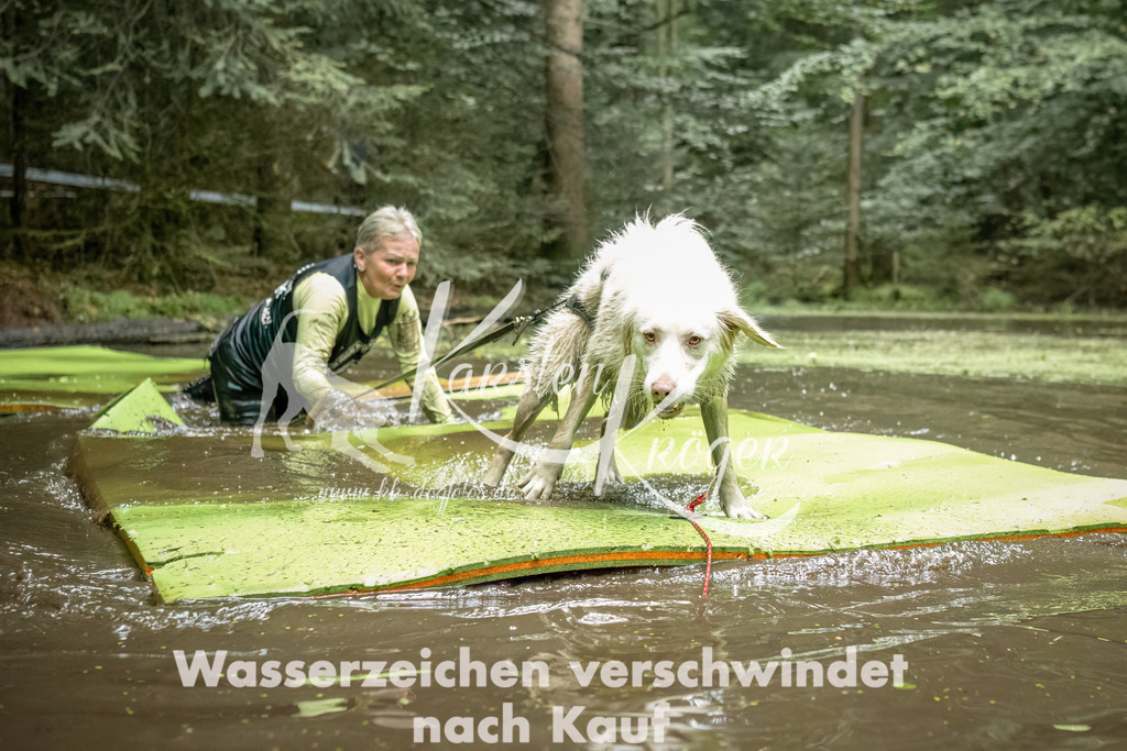 1438_ZZ93086-Bearbeitet | kk-dogfotos