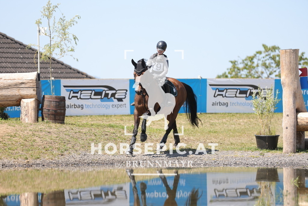 0P6A4979 | Willkommen bei Brunnmayr - Design & Fotografie – Ihrem Spezialisten für Reitturniere und Pferdeveranstaltungen in Oberösterreich, Salzburg und Bayern! Seit über 17 Jahren sind wir leidenschaftlich dabei.