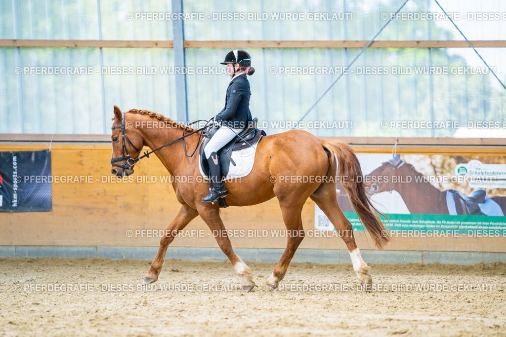 DSC08363 | Pferdegrafie