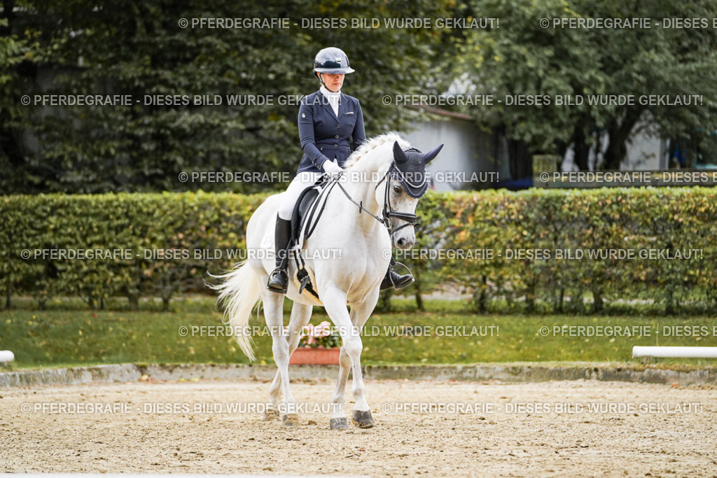 DSC06495 | Pferdegrafie