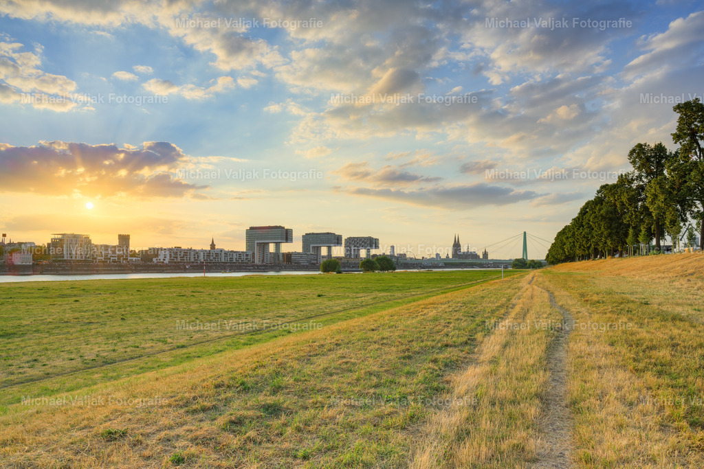 Abendlicht über den Poller Wiesen in Köln | Im warmen Licht des späten Abends erstreckt sich der Blick über die Poller Wiesen in Richtung Kölner Altstadt. Die tief stehende Sonne taucht die weitläufige Wiese in ein goldenes Licht, während im Hintergrund die markanten Kranhäuser und der Kölner Dom die unverwechselbare Silhouette der Stadt prägen.Der Kontrast zwischen der natürlichen Weite der Poller Wiesen und der beeindruckenden Architektur Kölns macht dieses Motiv besonders reizvoll. Kurz vor Sonnenuntergang entsteht eine ruhige und atmosphärische Stimmung, in der sich Natur und Großstadt harmonisch miteinander verbinden.Ein stimmungsvolles Stadt- und Landschaftsfoto von Köln am Rhein, das die Domstadt in einem besonders warmen und charakteristischen Abendlicht zeigt. - Realisiert mit Pictrs.com