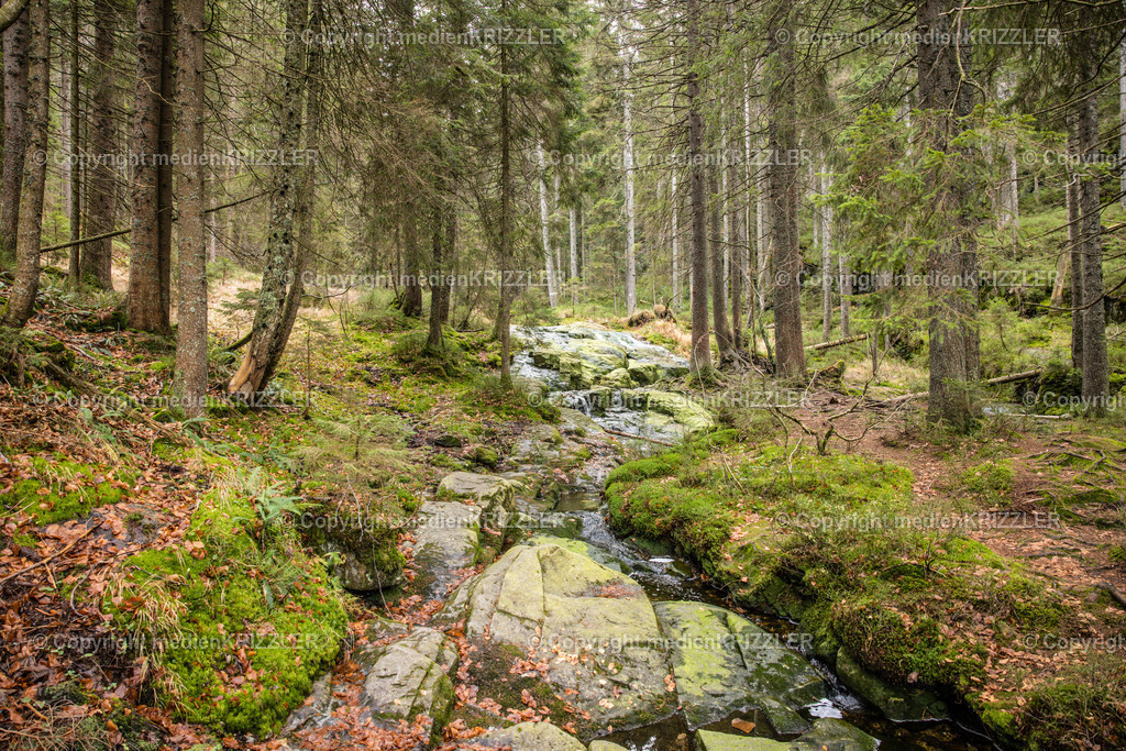 _J3A9103 | medienkrizzler - Realisiert mit Pictrs.com