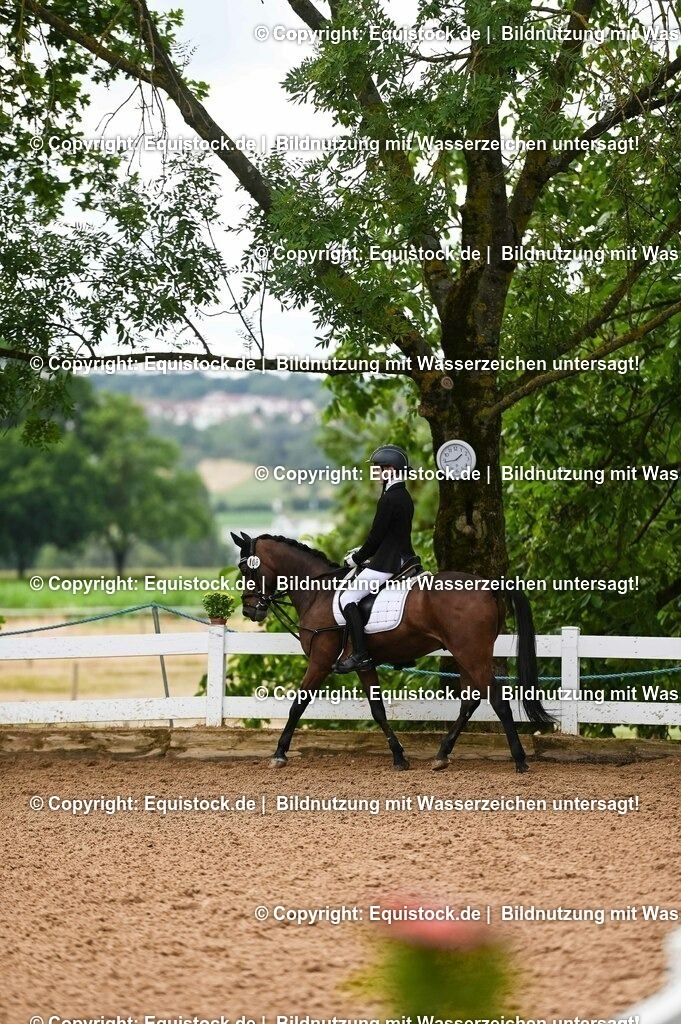 20230716_10-2_Reiter-WB Schritt - Trab - Galopp_0113 | equistock