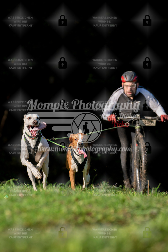 TSB_2023_E7_DS2-9 | PayLife