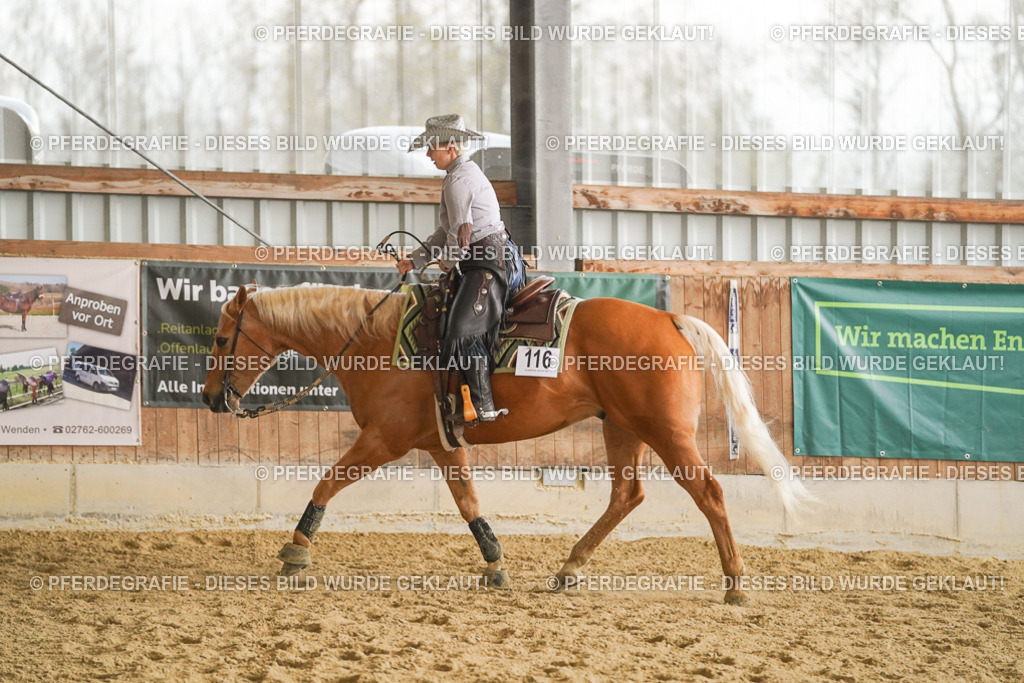 DSC07503 | Pferdegrafie