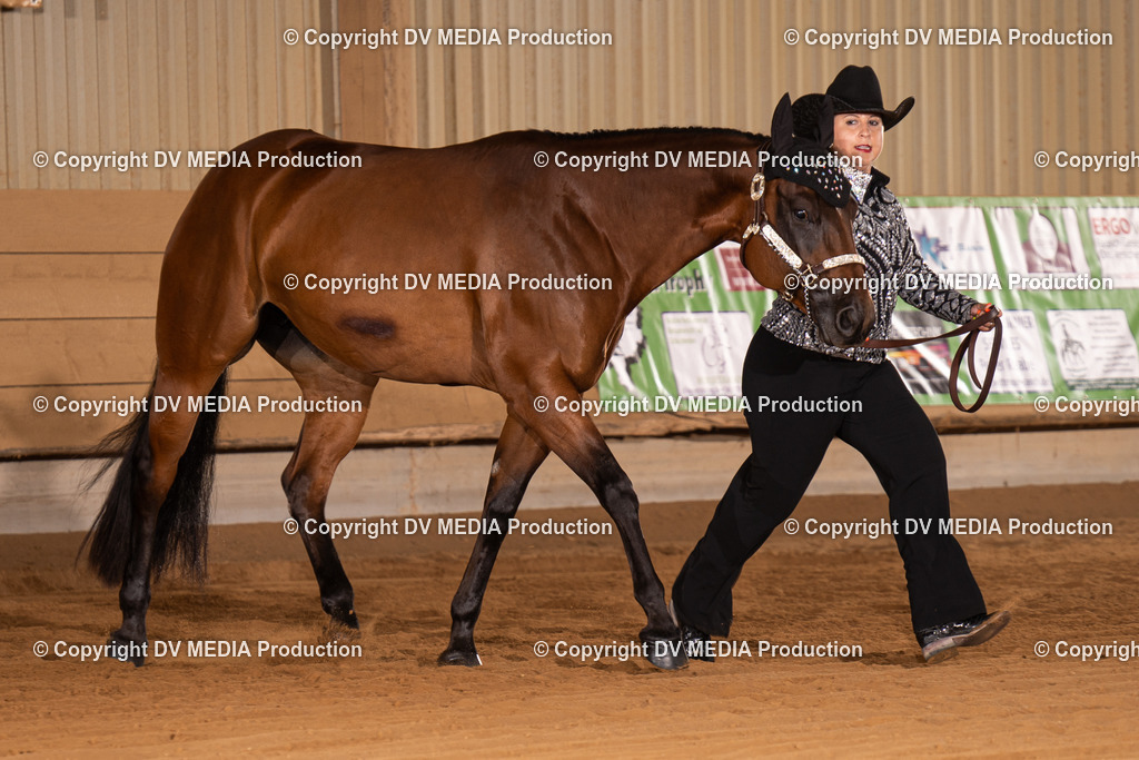 NID00051 | dv-media-shop - Realisiert mit Pictrs.com