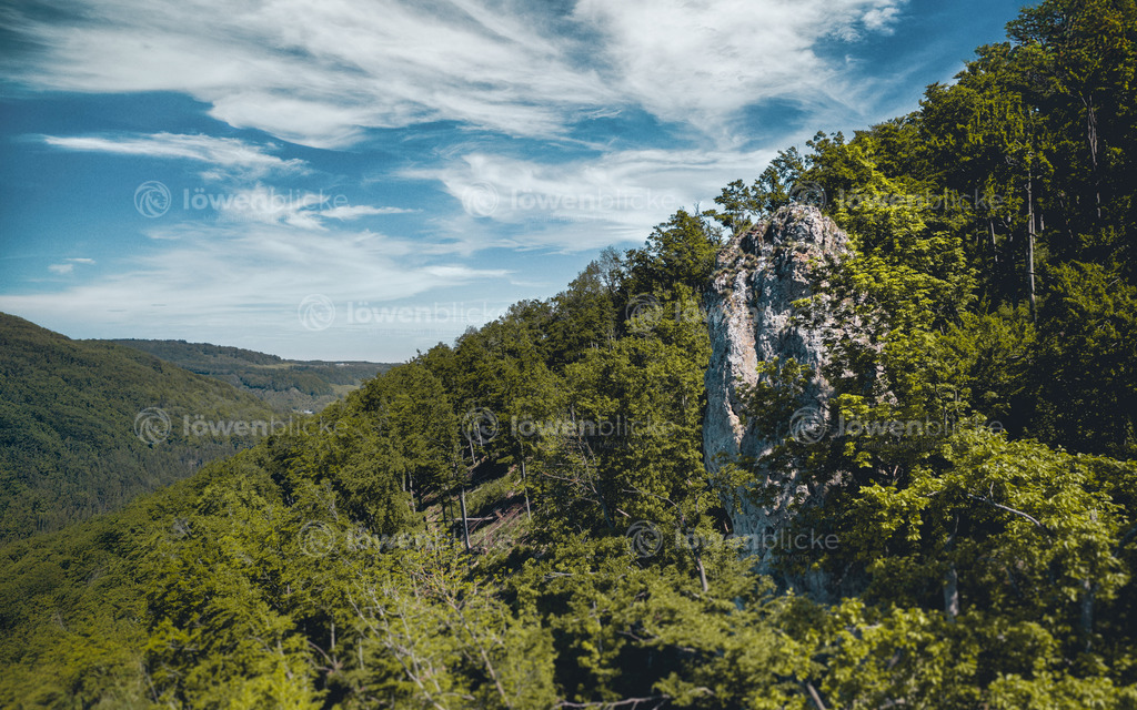 DANIEL-GIMMER-PHOTOGRAPHY_LOEWENBLICKE_0404 | löwenblicke | shop