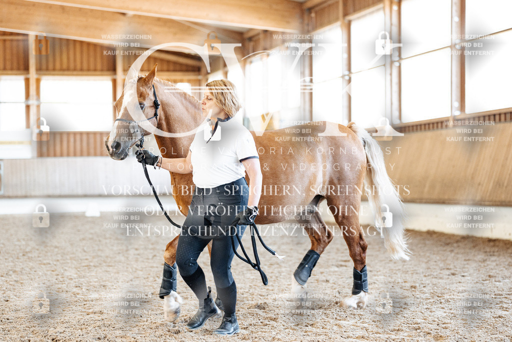 CK906599 | Turnierfotografie Pferdefotografie Trier Rheinland-Pfalz Pferdesport Reitsport Tierfotografie Sportfotografie Pferdevideo Pferdevideografie Equestrianvideography equestrianphotography  - Realisiert mit Pictrs.com