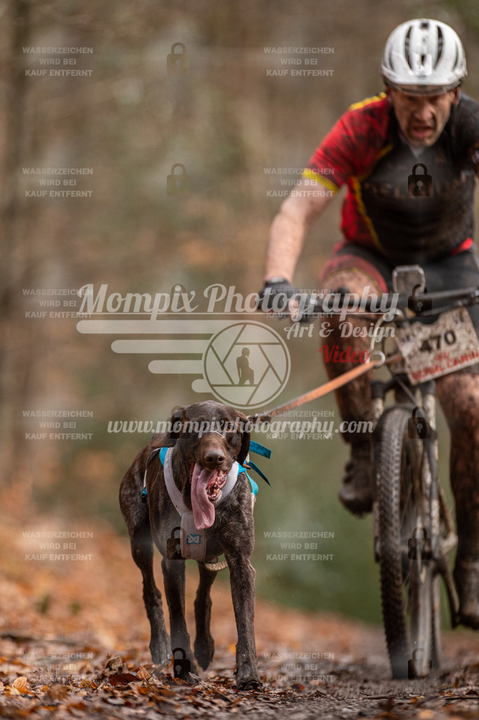 SPA_2023_DIM_Bike-59 | PayLife