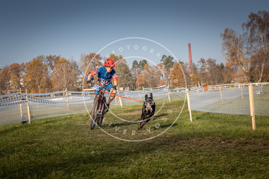 CaniXpix_0L8A7009 | Hundefotografie, Tierfotograf, Pfotenfotografie, Fotoshooting Hund, Hunde Portrait, Hundesport, Hundeportraits, Heideshooting, Hunde, Sportfotograf, Hundefotograf, Turnierhundsport, THS,  - Realisiert mit Pictrs.com