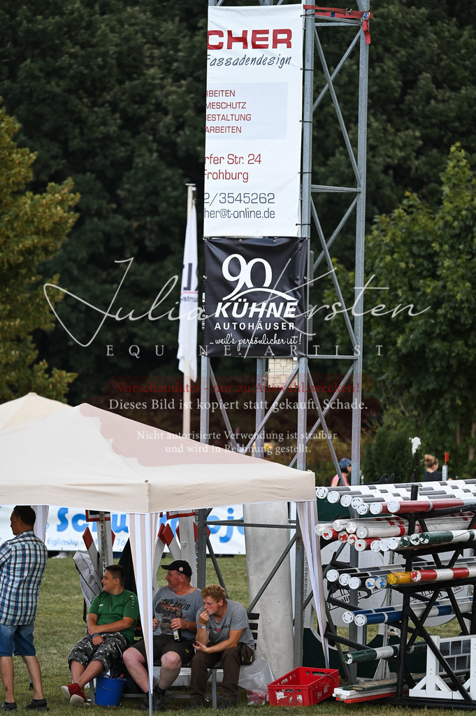 DSC_8330 | Pferde- und Turnierfotografie in Westsachsen. Pferdeportraits, Auftragszeichnungen und intuitive Kunst.