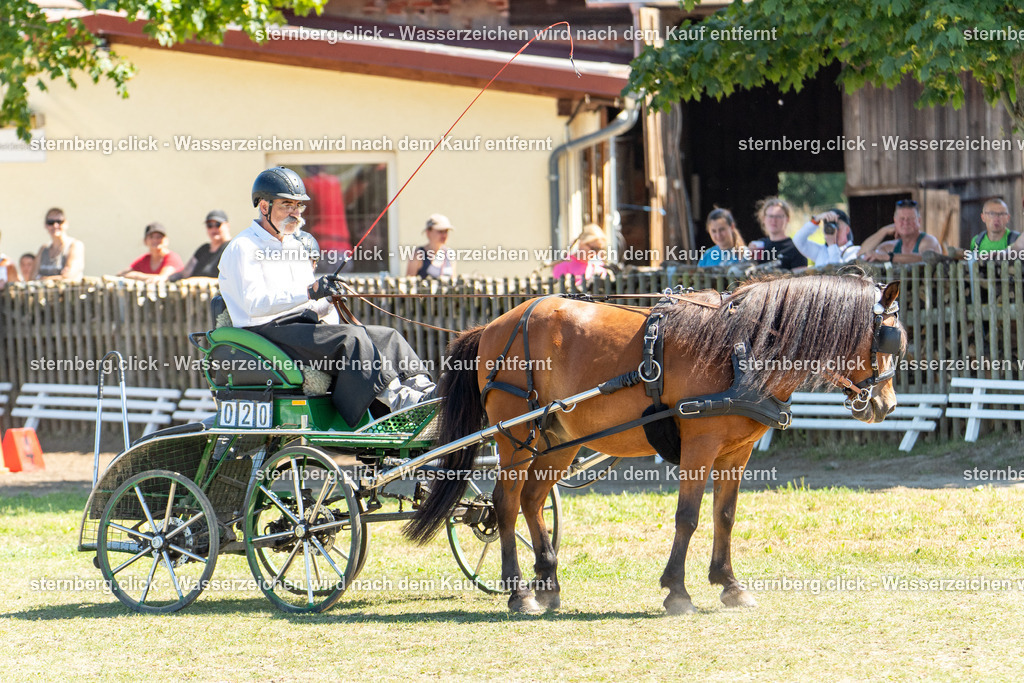 2026-08-09_11-45-55_WBO_Pulsnitz | sternberg.click - Realisiert mit Pictrs.com