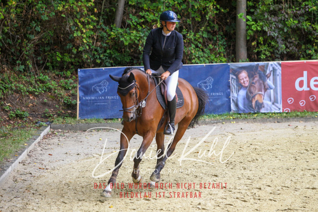 DKP40537 | Turniersportfotografie; Pferdefotografie; Dressurfotografie