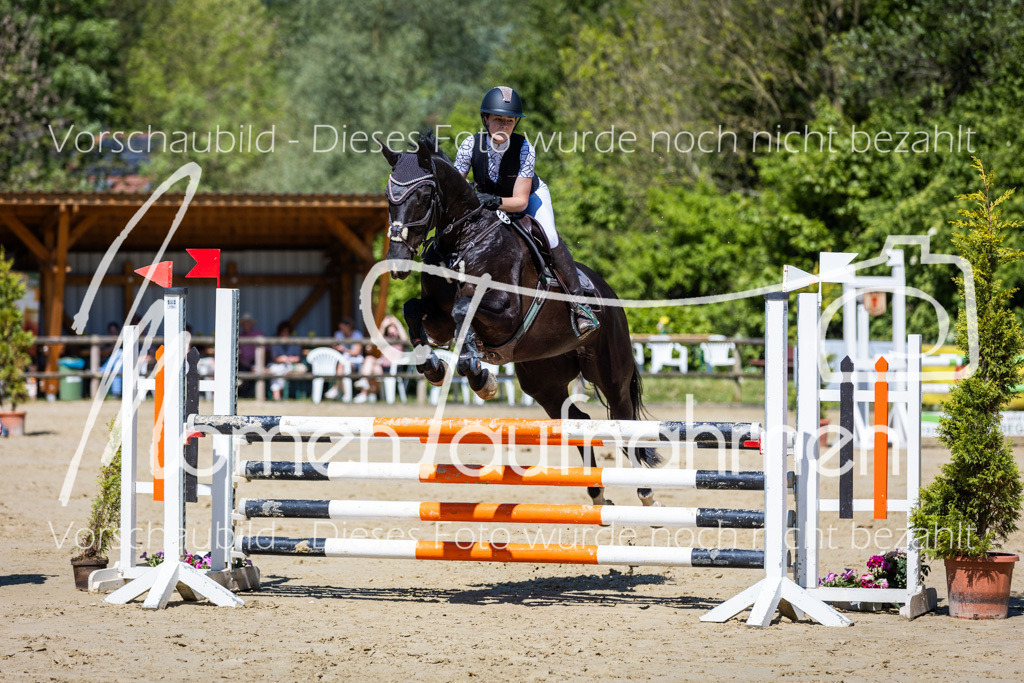 Donop24-ASprmstA-038 | MomenTaufnahmen Pferdesportfotos