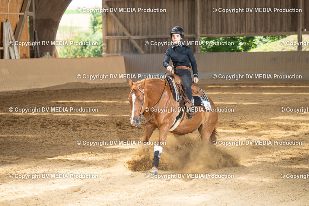 DSC00043 | dv-media-shop - Realisiert mit Pictrs.com