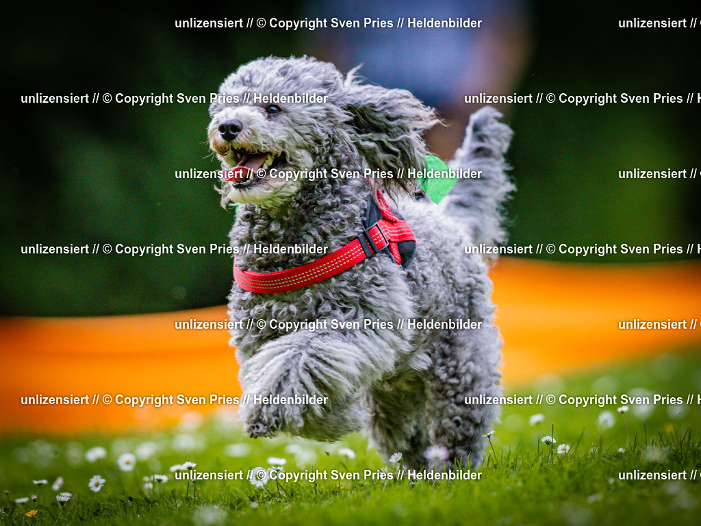 Sven Pries | 2025-05-29 - Pudelrennen KA-Durlach - Realisiert mit Pictrs.com