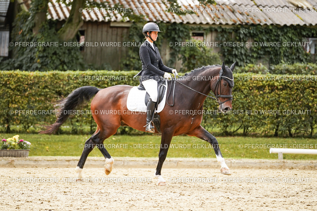 DSC09845 | Pferdegrafie