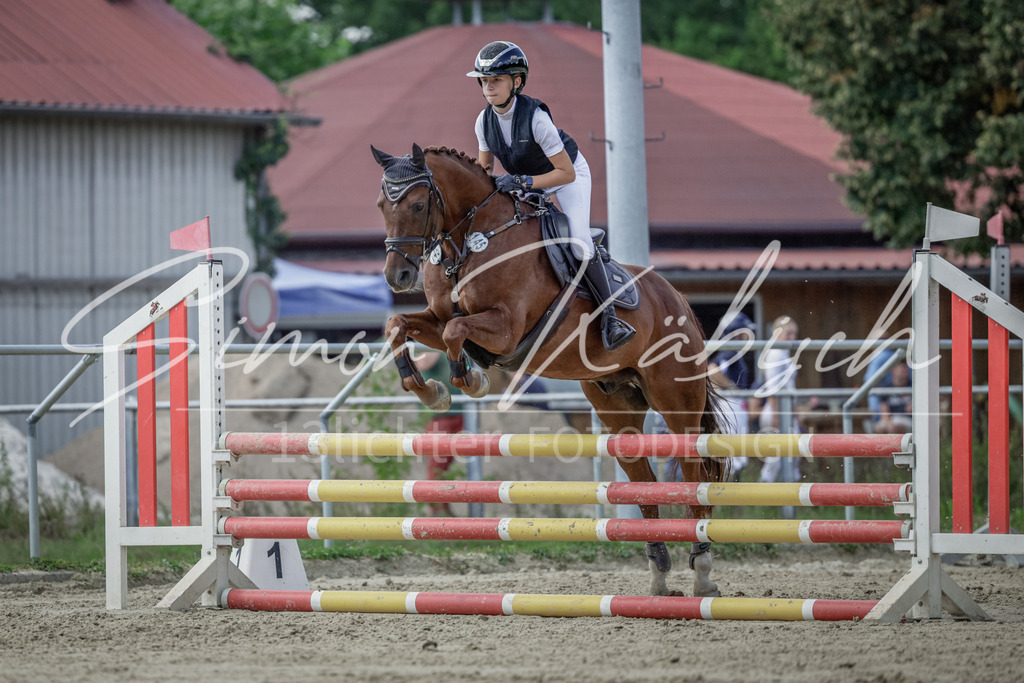 20250906-_3LI6317 | Tierfotografie Pferde, Hunde, Katzen, Haustiere.
Turnierfotografie Reitturniere, Reiten, Springreiten, Dressur in Hanau, dem Main-Kinzig-Kreis und dem Rhein-Main- Gebiet um Frankfurt