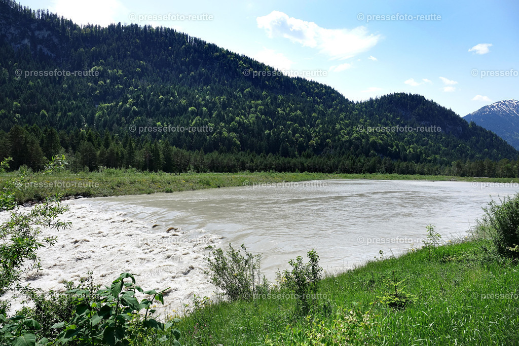 welltvi-Lech-bei-hoefen-Hochwasser-04062019-DSD01816 | Info aus dem Bezirk Reutte/Ausserfern Tirol sowie eine umfangreiche Bilddatenbank über die gesamte Region: Lechtal, Talkessel Reutte, Tannheimertal, Zwischentoren. Lech, Plansee, Zugspitze, Grenztunnel, B179, Fernpassstraße, Verkehr, Lawinen, Tradition, - Realisiert mit Pictrs.com